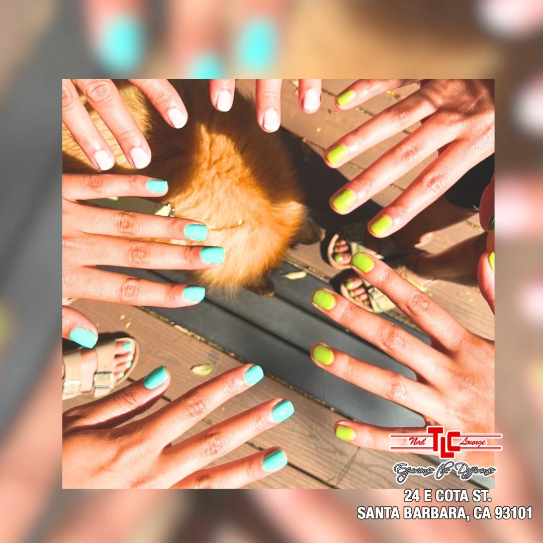 TLC Nail Lounge